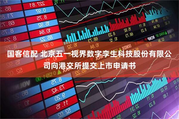 国客信配 北京五一视界数字孪生科技股份有限公司向港交所提交上市申请书