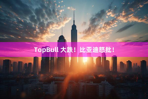 TopBull 大跌！比亚迪怒批！