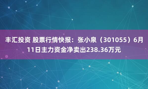 丰汇投资 股票行情快报：张小泉（301055）6月11日主力资金净卖出238.36万元