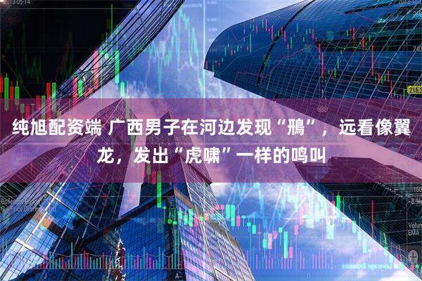 纯旭配资端 广西男子在河边发现“鳽”，远看像翼龙，发出“虎啸”一样的鸣叫