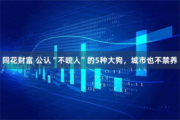 同花财富 公认“不咬人”的5种大狗，城市也不禁养