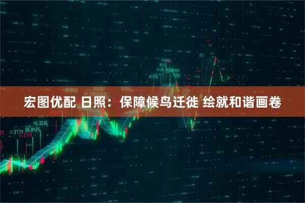 宏图优配 日照：保障候鸟迁徙 绘就和谐画卷