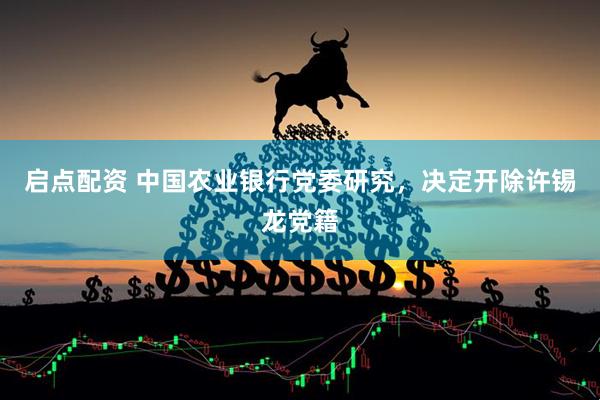 启点配资 中国农业银行党委研究，决定开除许锡龙党籍