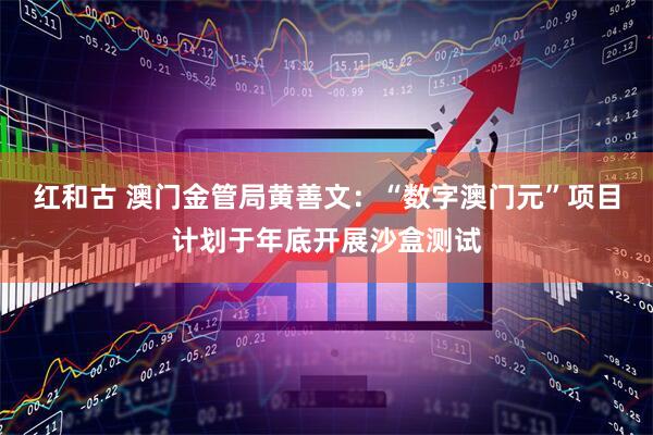 红和古 澳门金管局黄善文：“数字澳门元”项目计划于年底开展沙盒测试