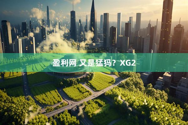 盈利网 又是猛犸？XG2