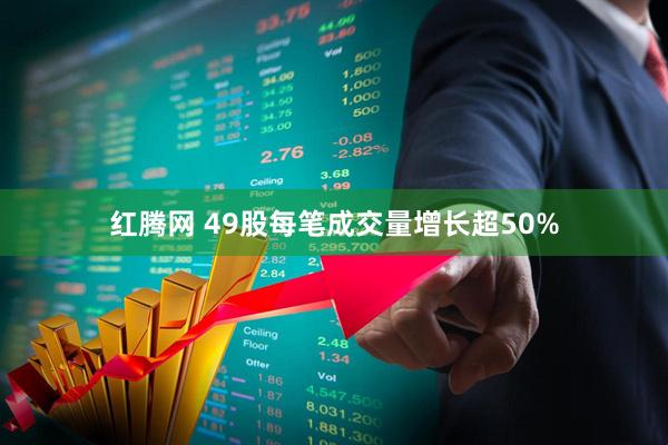 红腾网 49股每笔成交量增长超50%