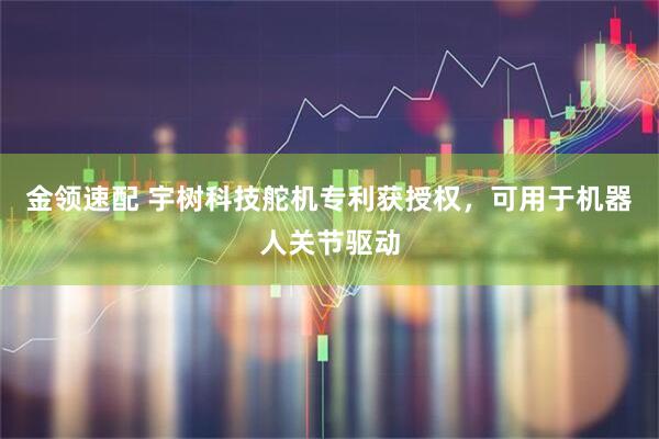 金领速配 宇树科技舵机专利获授权，可用于机器人关节驱动